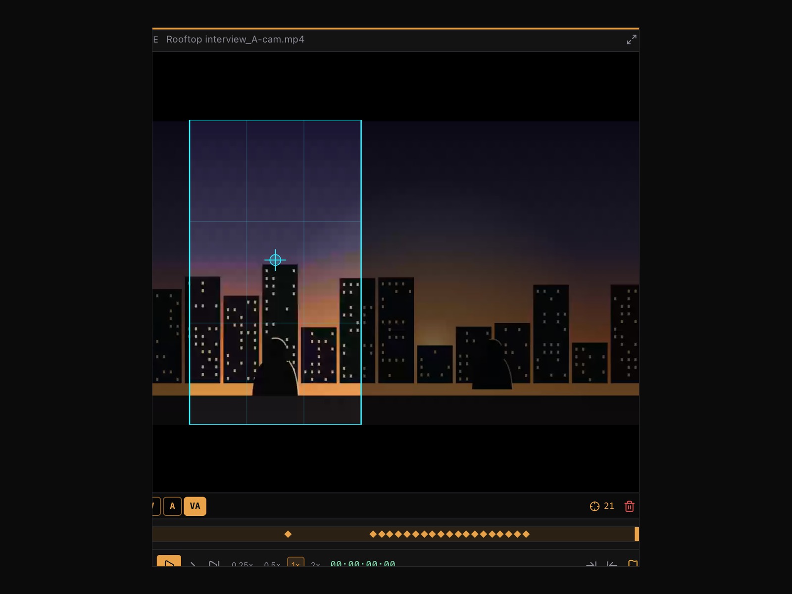 Vertico source monitor with crop frame